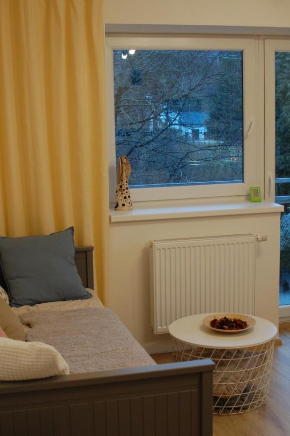 Apartman Masaryk Lipova Lazne Luaran gambar